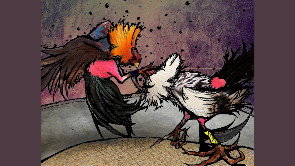Ilustración colorida de una pelea de gallos