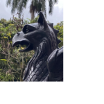 Fragmento de la cabeza de una escultura pública de color negro. Es un ave monstruosa