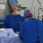 Dos médicos de bata azul en una cirugía