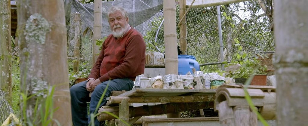 Un lugar de libertad: siete maneras de habitar Pereira