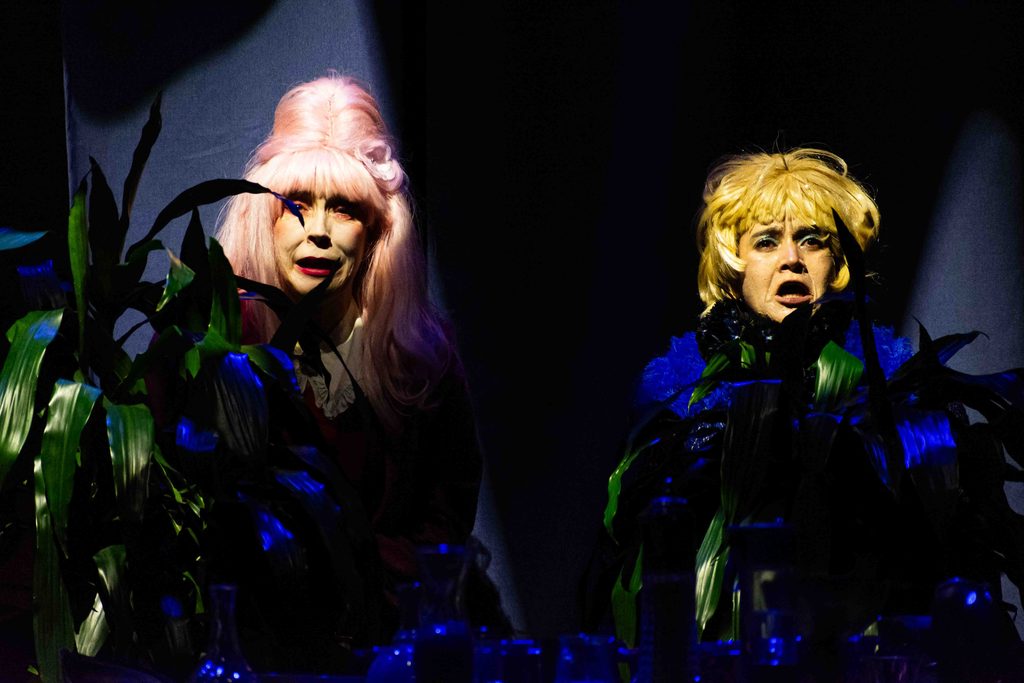 Picados por el bicho del teatro