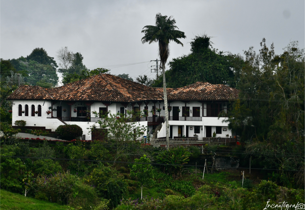 Palmera alta y casa colonial