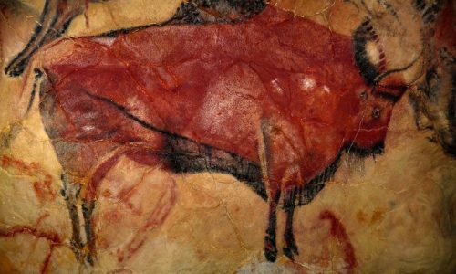 Bisonte de las cuevas de Altamira (España). Arte rupestre. / Foto RTVE.es