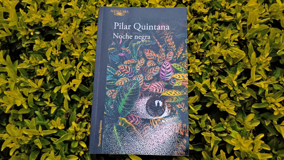 Noche negra, Pilar Quintana