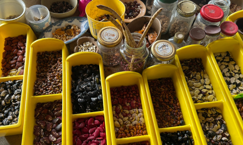 Granos y productos del campo