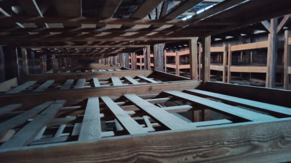 Foto del complejo Auschwitz – Birkenau en la que se ve una serie de camastros sin colchón, andamiajes de maderas en donde presumimos dormían los prisioneros.