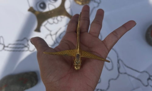 Una foto de una mano extendida que sostiene un pez dorado.