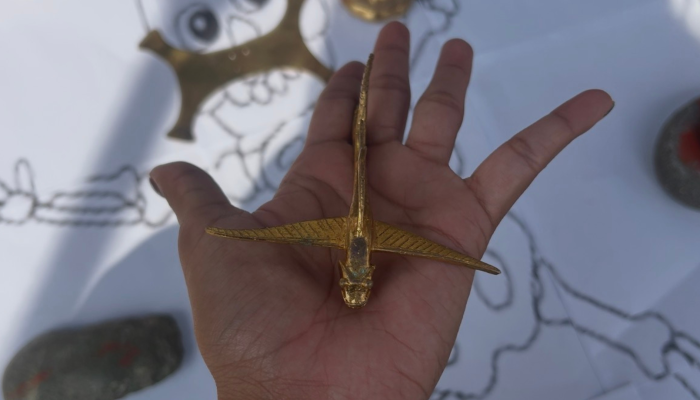 Una foto de una mano extendida que sostiene un pez dorado.