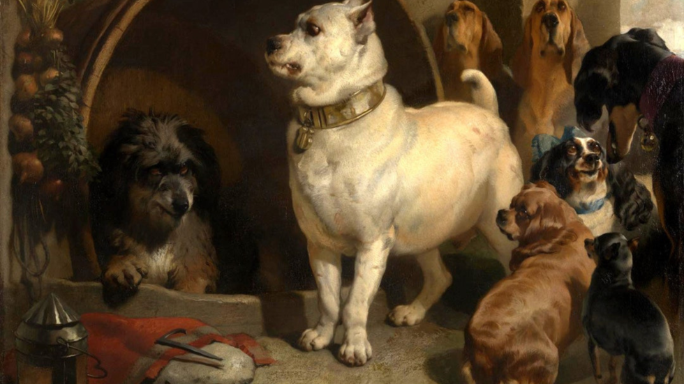 Alejandro y Diógenes, versión perros. Pintura de Edwin Henry Landseer, óleo sobre lienzo, 1848.