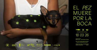 El pez muere por la boca