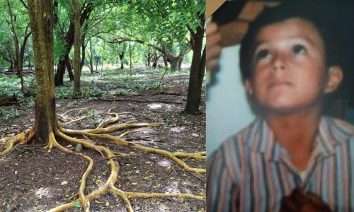 Diego Augusto Laverde Viana, de 7 años, se perdió en la tragedia de Armero. En donde estaba su casa hoy crece un enorme árbol.