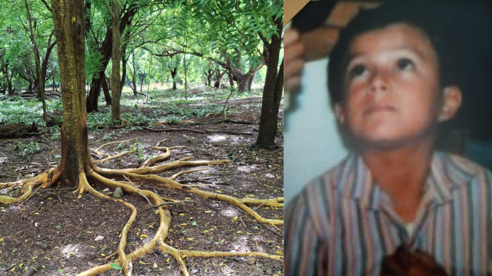 Diego Augusto Laverde Viana, de 7 años, se perdió en la tragedia de Armero. En donde estaba su casa hoy crece un enorme árbol.