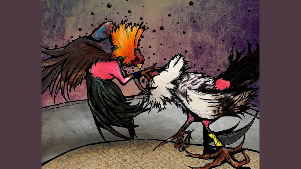 Ilustración colorida de una pelea de gallos