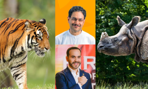Foto de tigre y rinoceronte con los rostros de Abelardo de la Espriella e Iván Cepeda