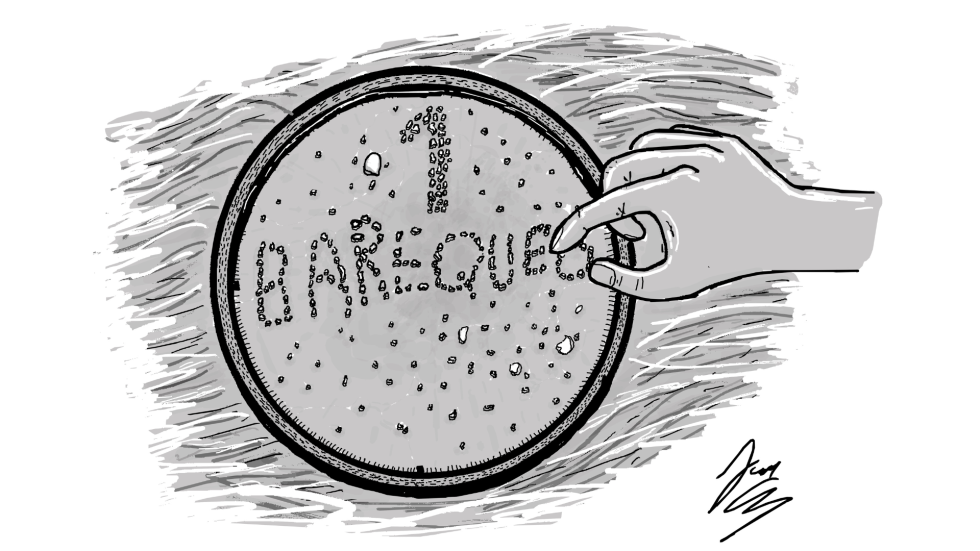Ilustración de una batea con oro y las pepitas forman la palabra Barequeo