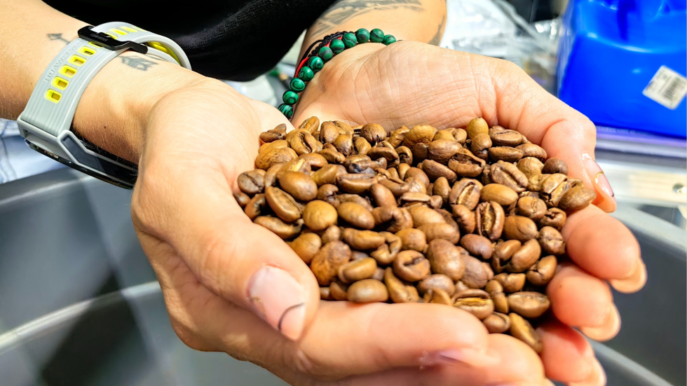 La autora con su café en la finca La Esperanza, de Salamina, Caldas.
