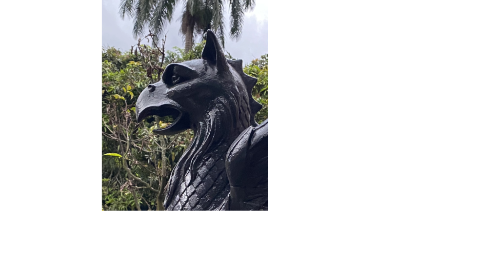 Fragmento de la cabeza de una escultura pública de color negro. Es un ave monstruosa