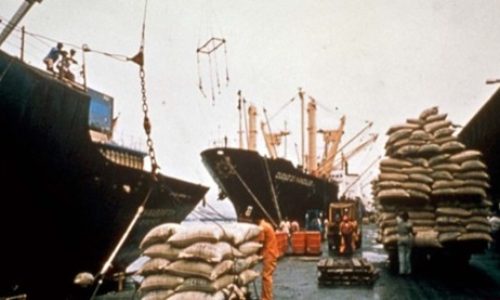 Sacos de café a punto de ser embarcados en el puerto de Cartagena. /