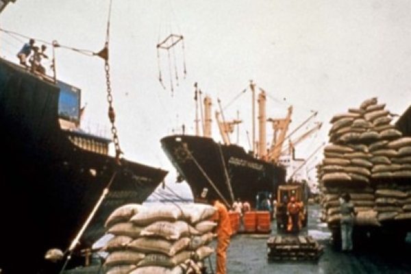 Sacos de café a punto de ser embarcados en el puerto de Cartagena. /