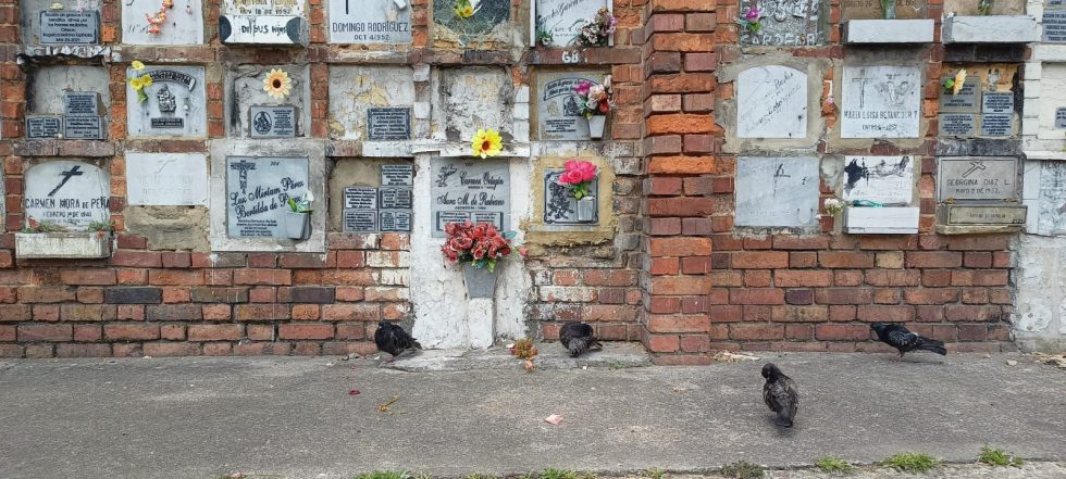 Fotografía de Ramón Pineda Cardona.