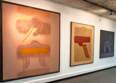 Museo Arte Caldas (1)