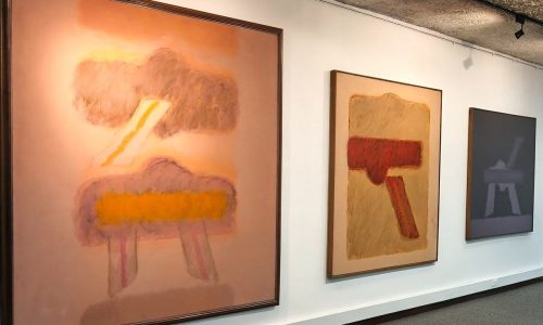 Museo Arte Caldas (1)