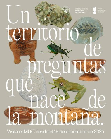 Un territorio de preguntasUn territori