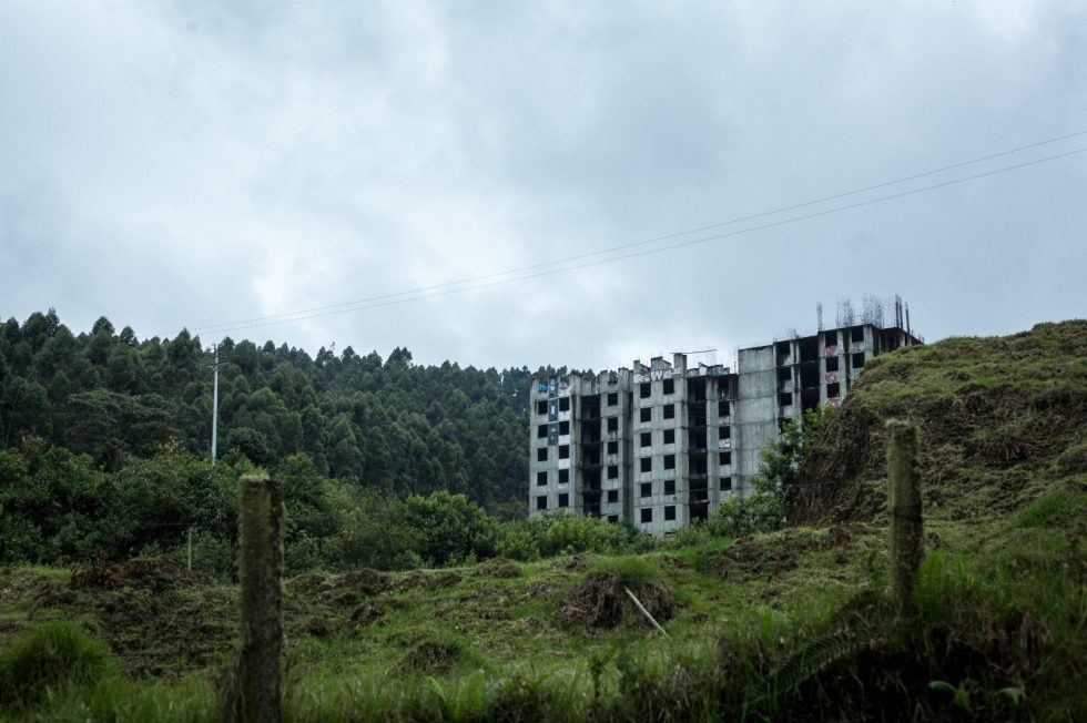 Elefante Rio Blanco. /