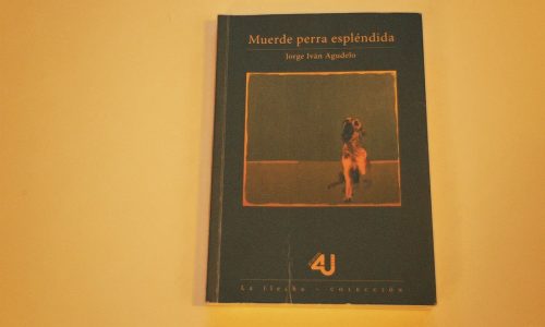 Muerde perra espléndida