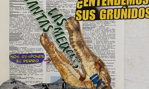 Collage de Laura García.