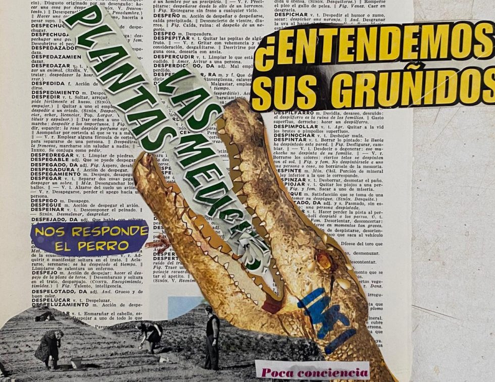 Collage de Laura García.