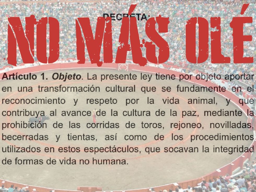 La tradición vs. la cultura