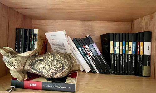 Foto de la biblioteca de Mariana Aranda, autora del texto que acompaña esta imagen. Libros caídos y un adorno de un elefante dorado también caído.