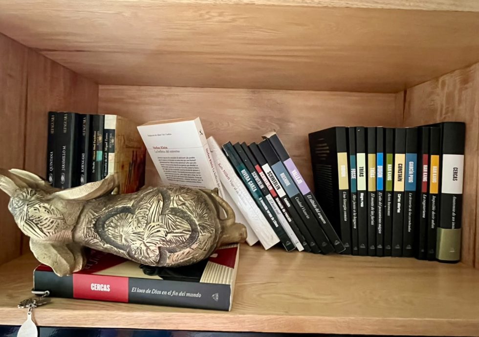 Foto de la biblioteca de Mariana Aranda, autora del texto que acompaña esta imagen. Libros caídos y un adorno de un elefante dorado también caído.