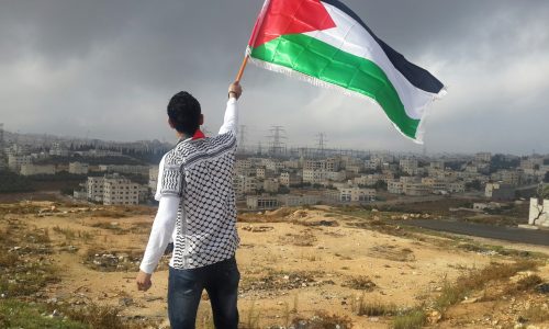 ahmed-abu-hameeda-D9lCSvUcErk-unsplash